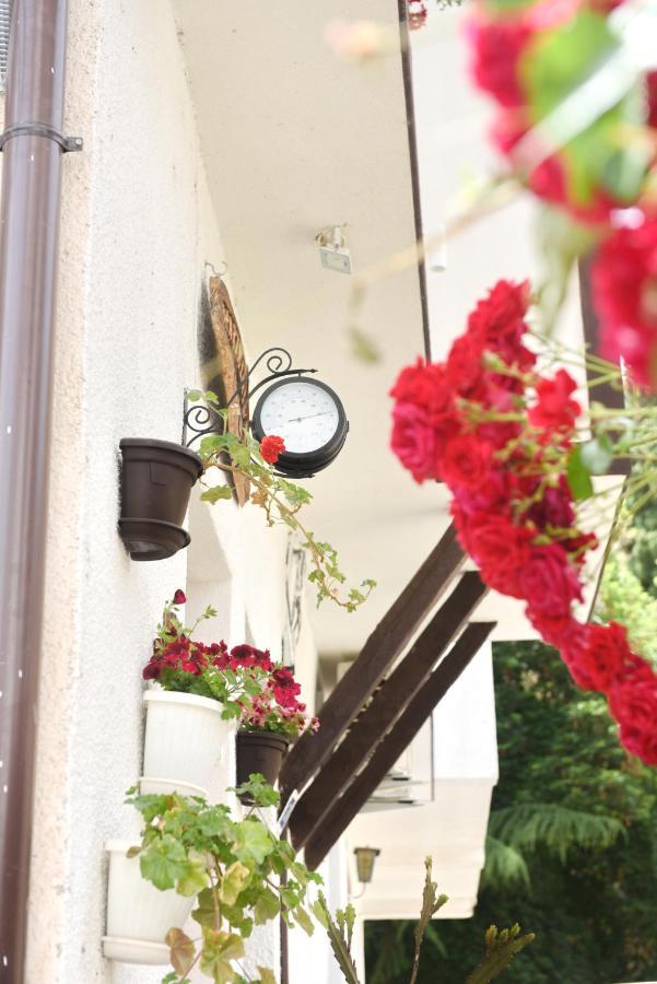 Eke Irin Apartments Ohrid Eksteriør billede